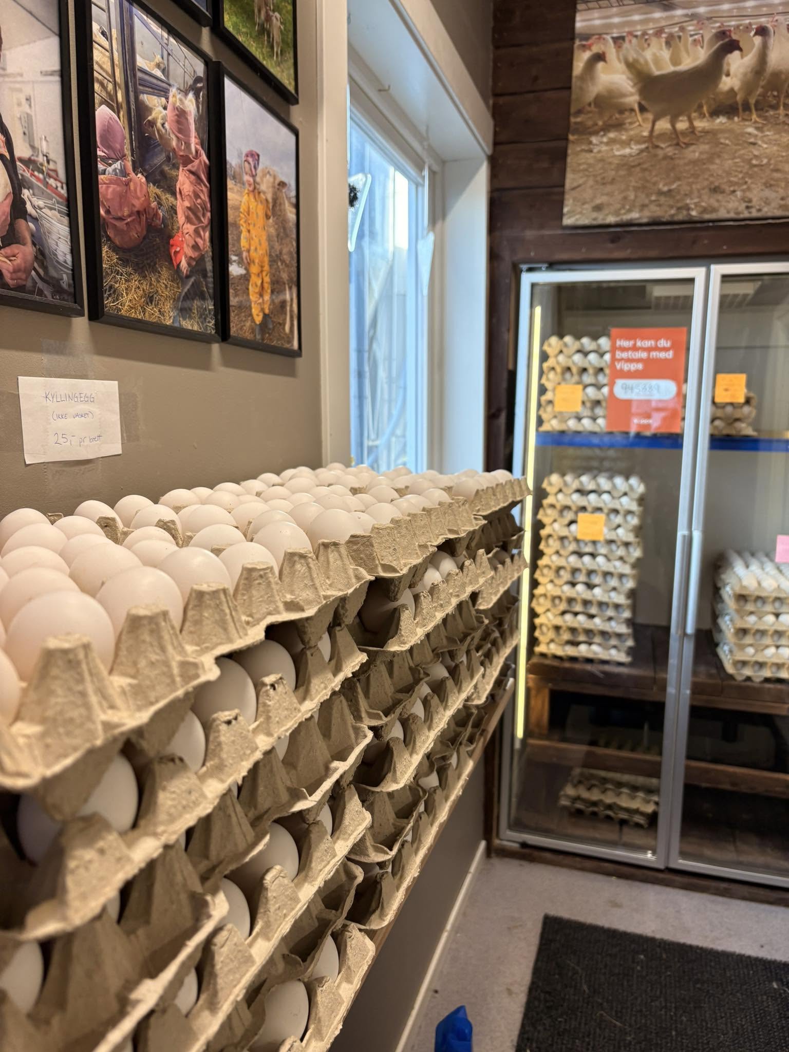 Selvbetjent gårdsutsalg på Østheim gård med egg i brett og betaling med Vipps